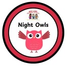 Night owls logo